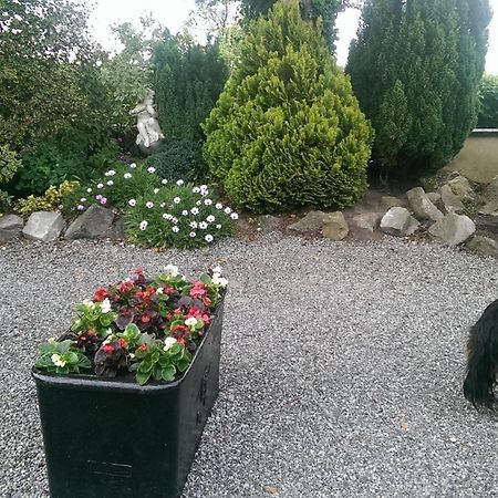 The Ring Farmhouse Birr Exterior foto