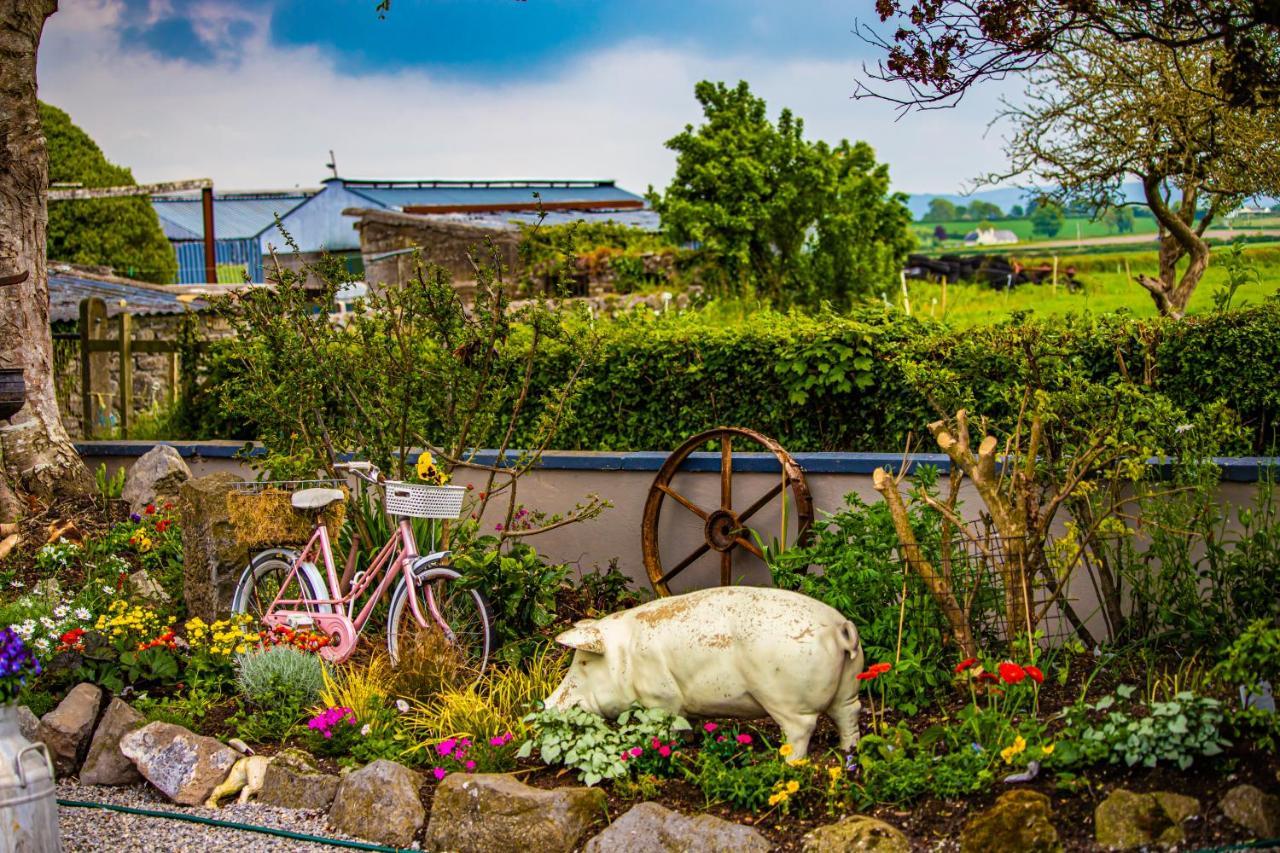 The Ring Farmhouse Birr Exterior foto