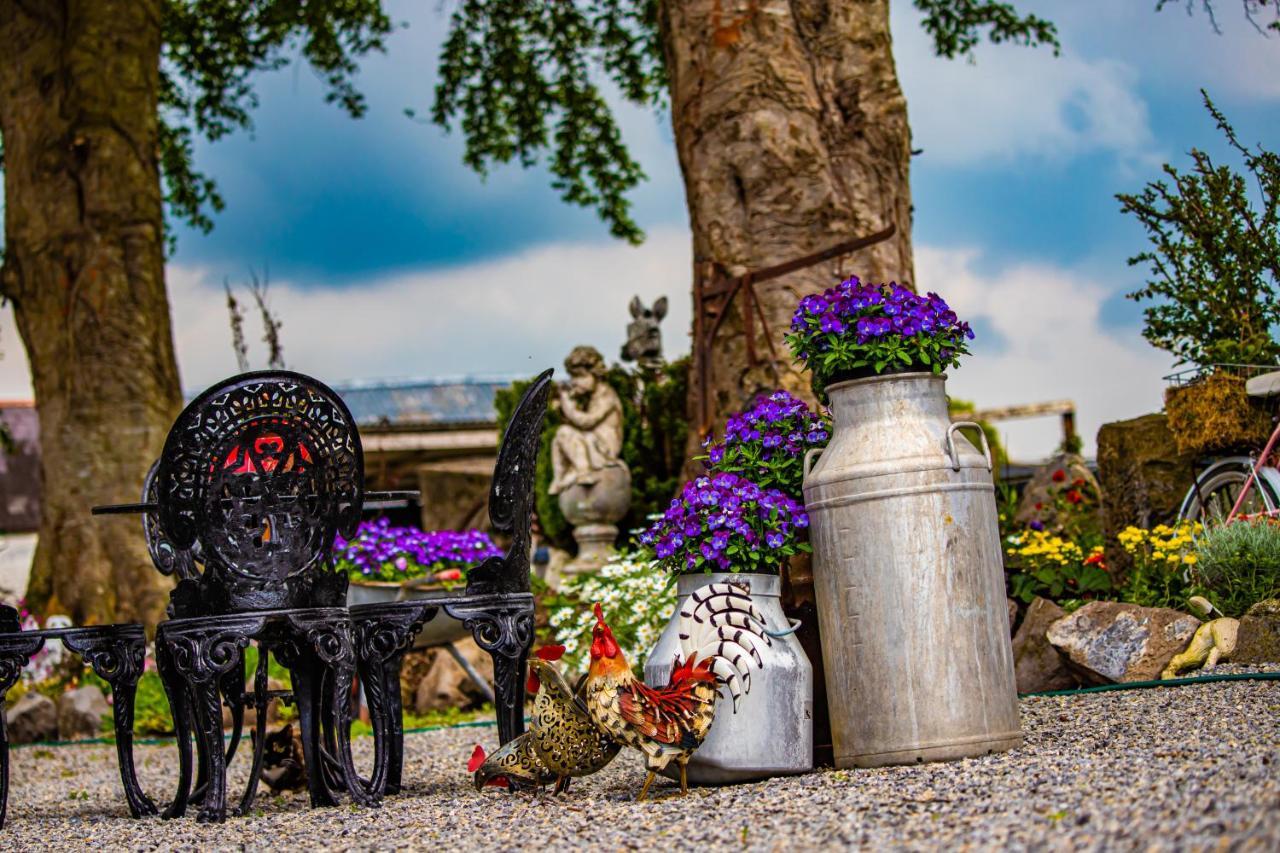 The Ring Farmhouse Birr Exterior foto