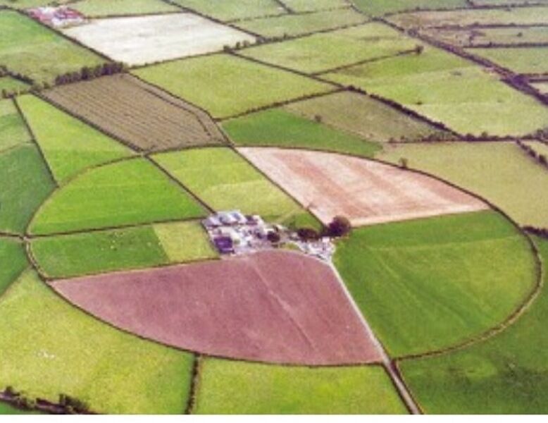 The Ring Farmhouse Bed and Breakfast Birr Exterior foto